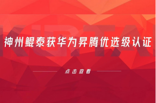 持续进阶，pt电子（中国）获华为昇腾优选级认证