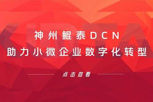 pt电子（中国）DCN助力小微企业数字化转型