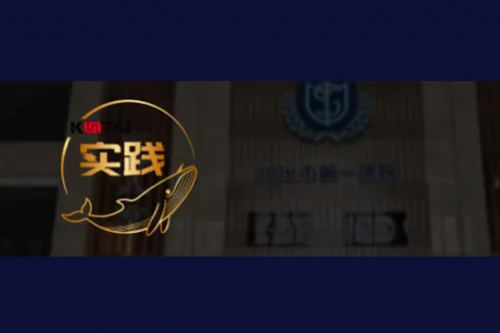 pt电子（中国）数码DCN助力绥化传染病医院核心网数字化升级